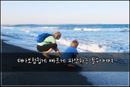 태아보험쉽게 빠르게 파악하는 필수이에여