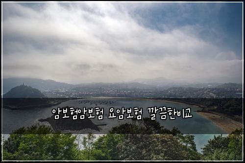 암보험암보험 요암보험 깔끔한비교