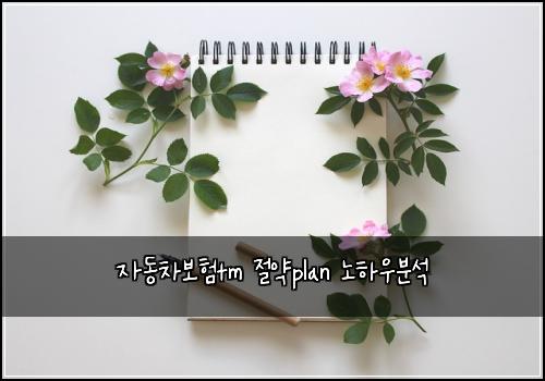 자동차보험tm 절약plan 노하우분석