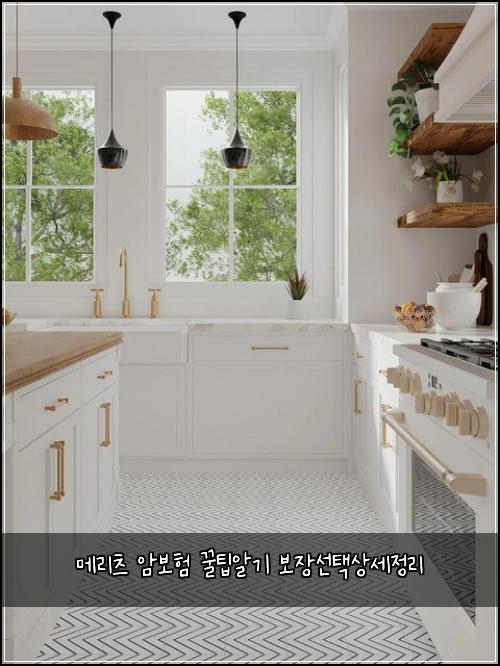 메리츠 암보험 꿀팁알기  보장선택상세정리