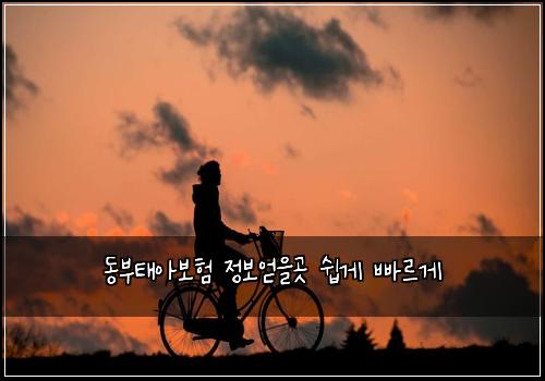 동부태아보험 정보얻을곳  쉽게 빠르게