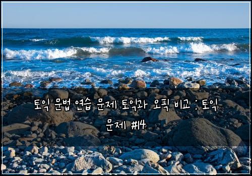 토익 문법 연습 문제 토익과 오픽 비교 : 토익 문제 #14