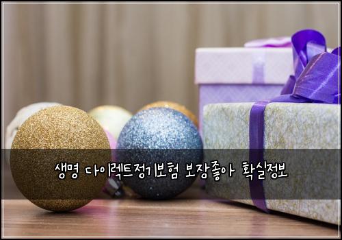 생명 다이렉트정기보험 보장좋아  확실정보
