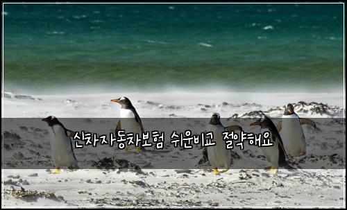 신차자동차보험 쉬운비교  절약해요
