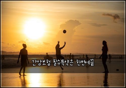 간암보험 필수특약은  한번에끝