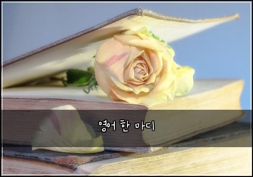 영어 한 마디