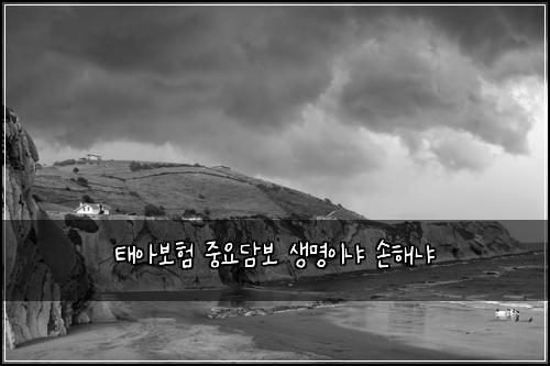 태아보험 중요담보  생명이냐 손해냐
