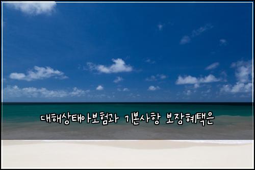 대해상태아보험과 기본사항 보장혜택은