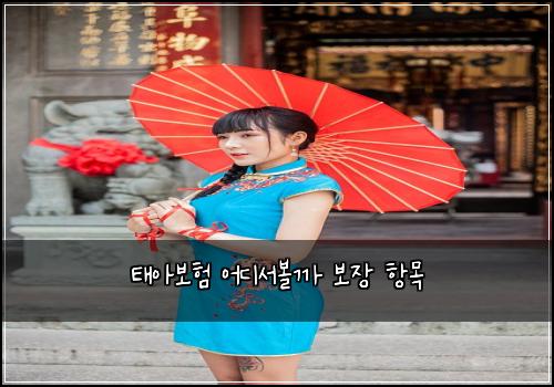 태아보험 어디서볼까  보장 항목