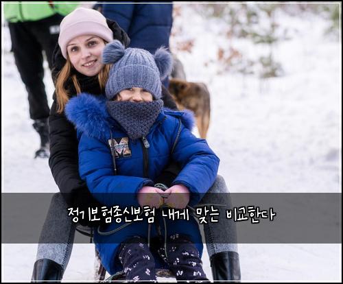 정기보험종신보험 내게 맞는 비교한다