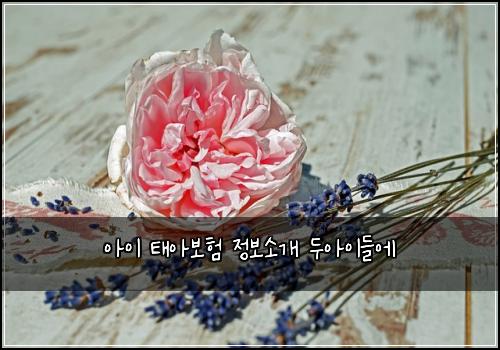 아이 태아보험 정보소개  두아이들에