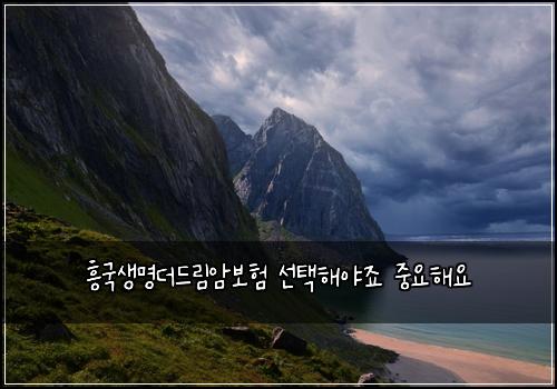 흥국생명더드림암보험 선택해야죠  중요해요