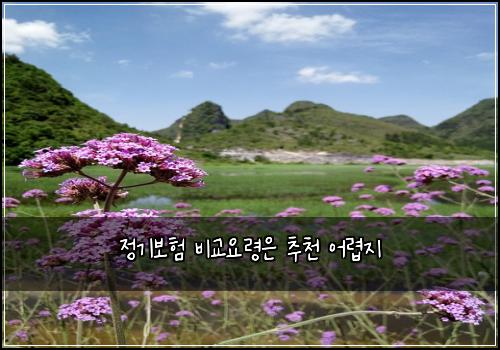 정기보험 비교요령은  추천 어렵지