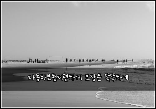 자동차보험저렴하게 보장은 똑똑하네