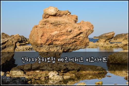 신차자동차보험 빠르게체크  비교사이트