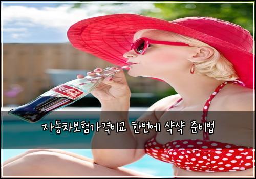 자동차보험가격비교 한번에 샥샥 준비법