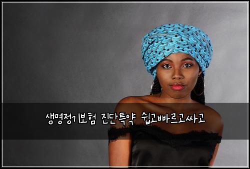 생명정기보험 진단특약  쉽고빠르고싸고