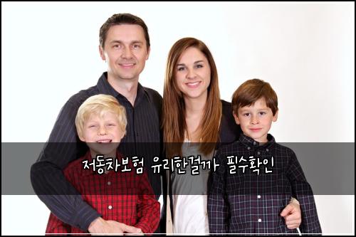 저동차보험 유리한걸까  필수확인