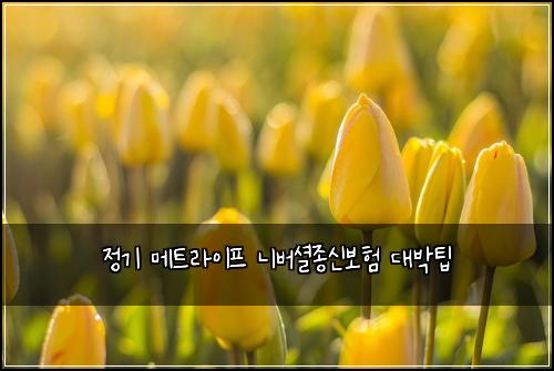์ ๊ธฐ ๋ฉํธ๋ผ์ดํ ๋๋ฒ์
์ข
์ ๋ณดํ ๋๋ฐํ