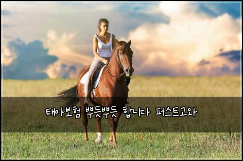 태아보험 뿌듯뿌듯  합니다 퍼스트고와