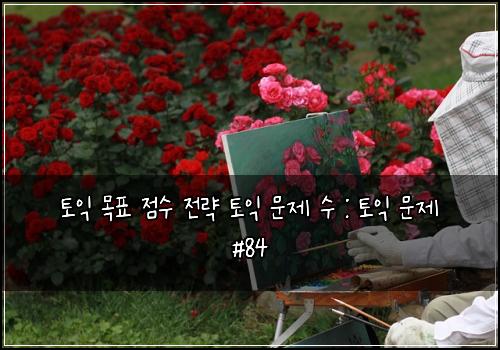 토익 목표 점수 전략 토익 문제 수 : 토익 문제 #84