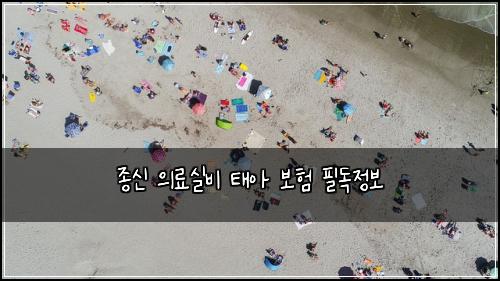 종신 의료실비 태아 보험 필독정보 