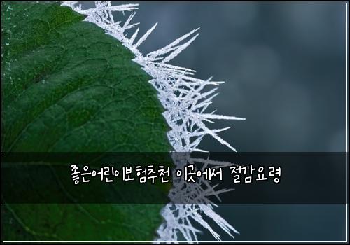 좋은어린이보험추천 이곳에서 절감요령