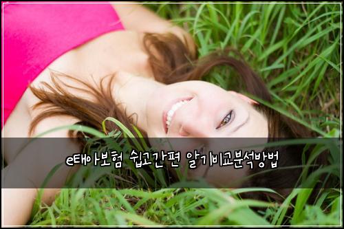 e태아보험 쉽고간편  알기비교분석방법