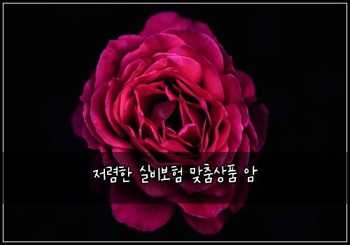 저렴한 실비보험 맞춤상품  암