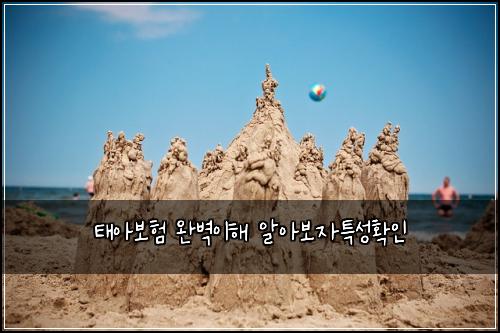 νμ보ν μλ²½μ΄ν΄ μμ보μνΉμ±νμΈ