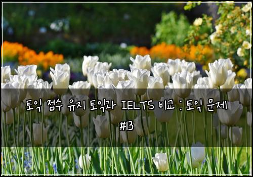토익 점수 유지 토익과 IELTS 비교 : 토익 문제 #13