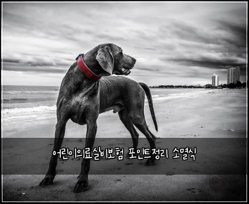 어린이의료실비보험 포인트정리  소멸식
