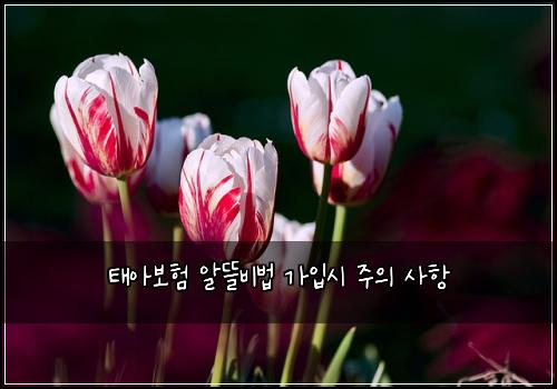 태아보험 알뜰비법  가입시 주의 사항
