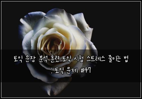 토익 문장 분석 훈련 토익 시험 스트레스 줄이는 법 : 토익 문제 #47
