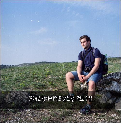 손해보험다이렉트암보험 정보수집