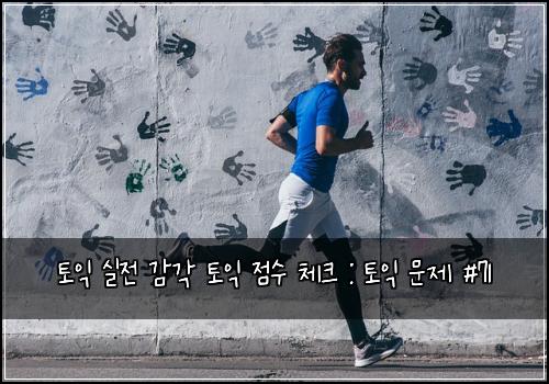 토익 실전 감각 토익 점수 체크 : 토익 문제 #71