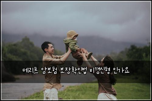 ๋ฉ๋ฆฌ์ธ ์๋ณดํ ๋ณด์ฅํ์ธ๋ฒ ๋น๊ฐฑ์ ํ ์ธ๊ฐ์