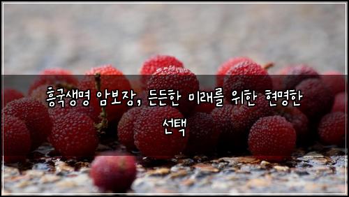 흥국생명 암보장, 든든한 미래를 위한 현명한 선택