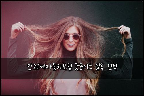 만26세자동차보험 굿쵸이스  실속 견적