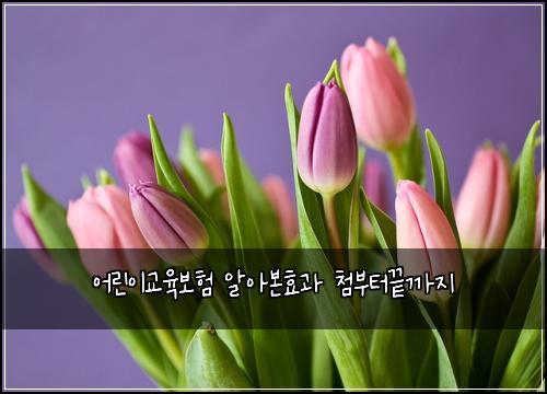 어린이교육보험 알아본효과  첨부터끝까지
