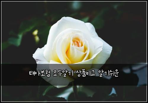 태아보험 모두알기  상품비교 알기쉬운
