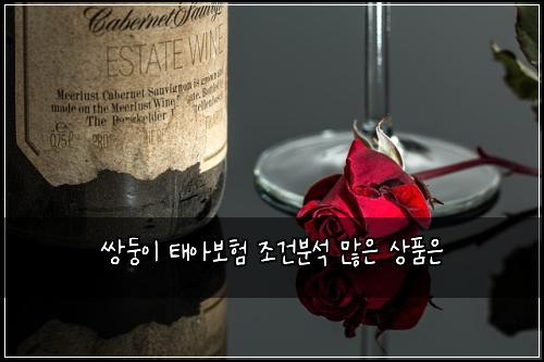 쌍둥이 태아보험 조건분석  많은 상품은