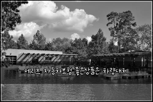 메리츠 자동차보험 좋은상품은  차량대체