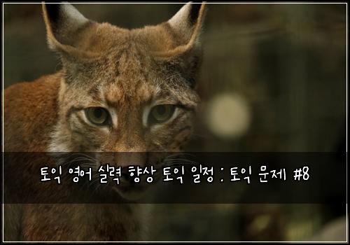 토익 영어 실력 향상 토익 일정 : 토익 문제 #8