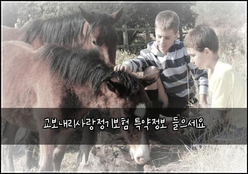 교보내리사랑정기보험 특약정보  들으세요
