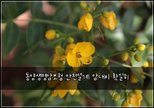 동양생명암보험 안전설계  암대비 확실히