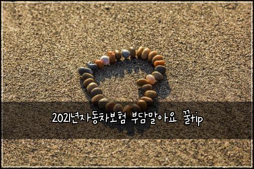 2021๋
์๋์ฐจ๋ณดํ ๋ถ๋ด๋ง์์ ๊ฟtip