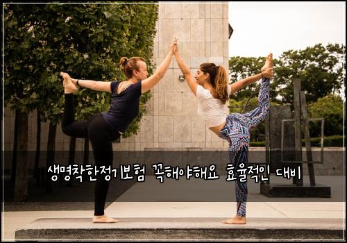 생명착한정기보험 꼭해야해요  효율적인 대비