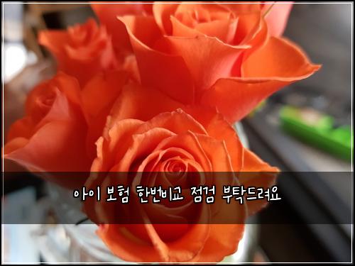 아이 보험 한번비교  점검 부탁드려요