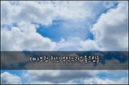 ํ์๋ณดํ ํ์ธ ๋ถํ๋๋ ค์์ข์ํ๋ค